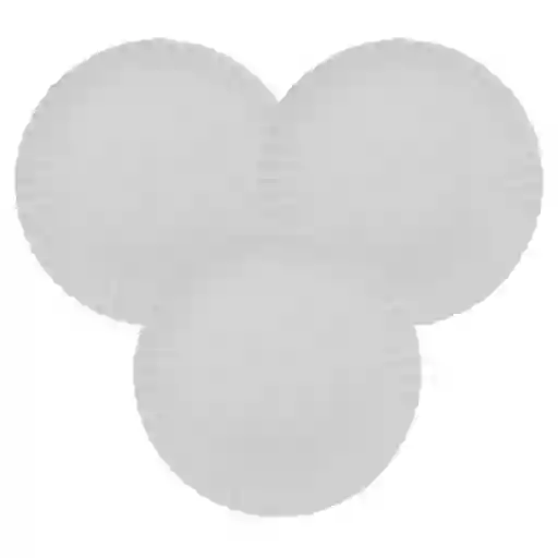 Set 25 Platos Carton