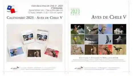 Calendario 2023 Escritorio Sobremesa Aves de Chile Caja Acrilica