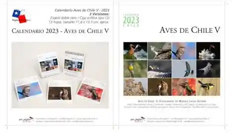 Calendario 2023 Escritorio Sobremesa Aves de Chile Caja Acrilica