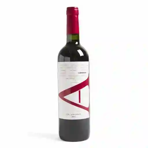 Vik A Vino Tinto Carmenere 14