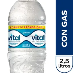 Vital Con Gas 2,5 Lt