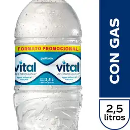 Vital Con Gas 2,5 Lt