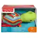 Fisher Price Tortuga Musical De Bebé