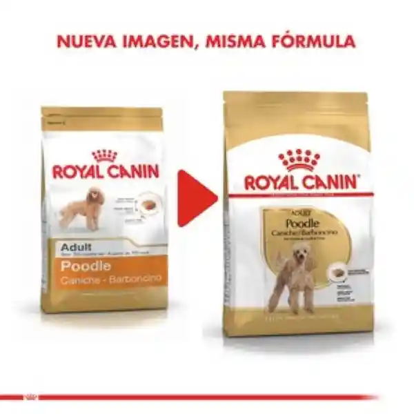 Royal Canin Alim Para Poodle Adulto