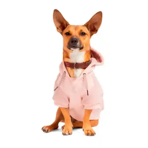 Reddy 4 Winter Sudadera Gama Rosa  Perro XX-Grande