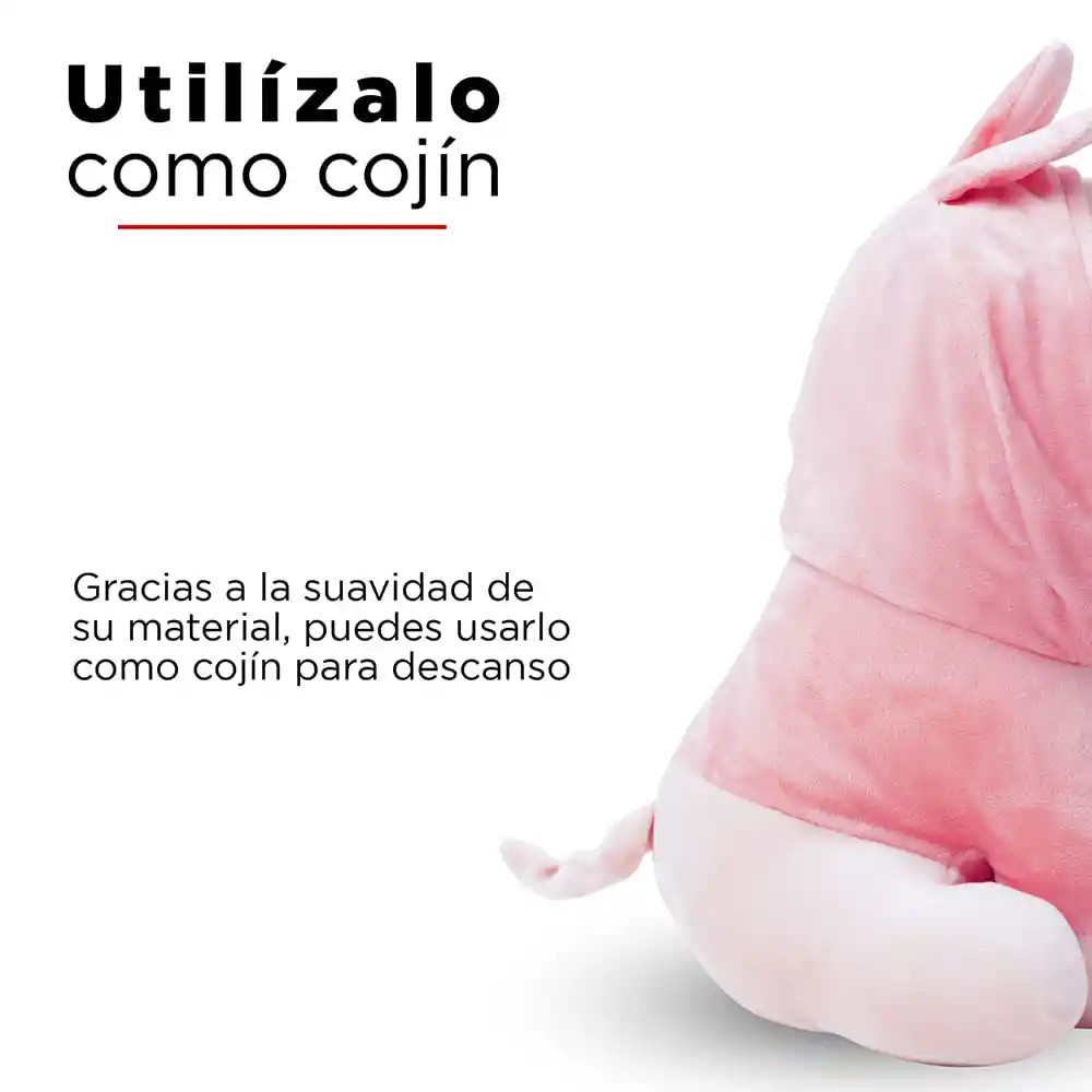 Miniso Peluche