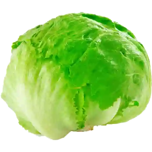 Lechuga Escarola