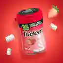 Trident Chicle Sin Azúcar Botella Sabor Frutilla