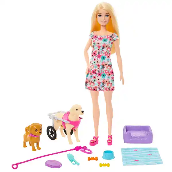 Barbie Set Muñeca Paseo Con Perrito en Silla de Ruedas HTK37