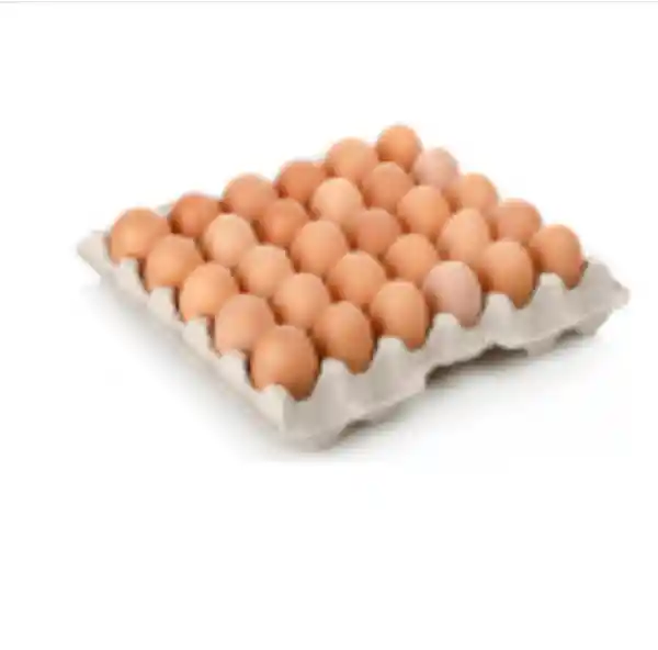 Huevo Bandeja Primera