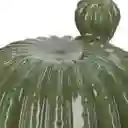 Cactus de Cerámica 16 x 16 x 14 cm Casaideas