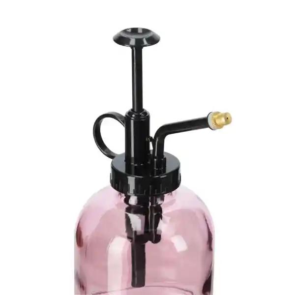Rociador Para Plantas de Vidrio 220 mL Casaideas