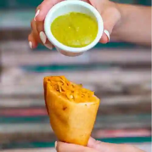 Empanada de Pollo
