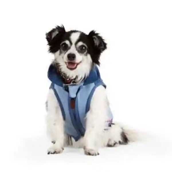 Reddy Winter Chamarra Puffer Para Perro Color Azul Navy Mediano