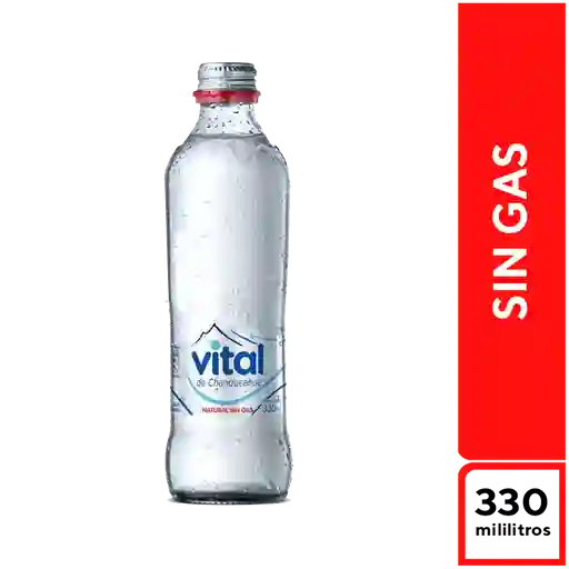 Vital Sin Gas 330 ml