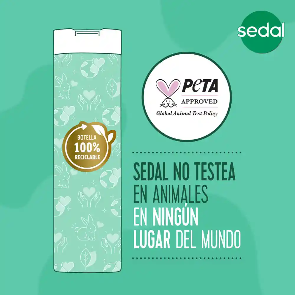 Sedal Shampoo Rizos Definidos