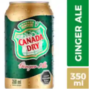 Ginger Ale 350 ml