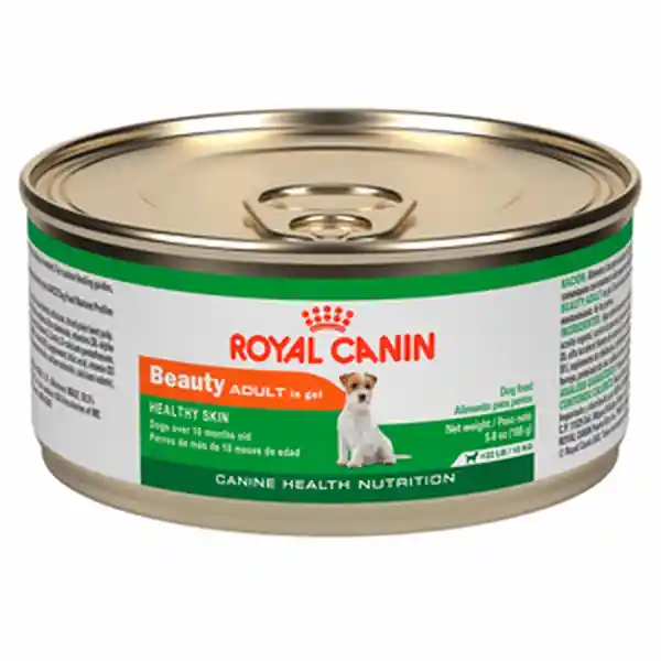 Royal Canin Alimento Para Perro Piel Saludable Raza Pequeña