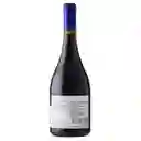 Vino Amayna Pinot Noir 750cc	