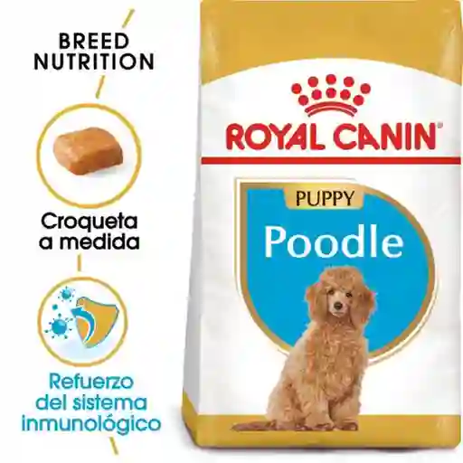 Royal Canin Alimento Para Perro Caniche Poodle Puppy