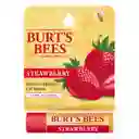 Burt's Bees Protector Labial Strawberry