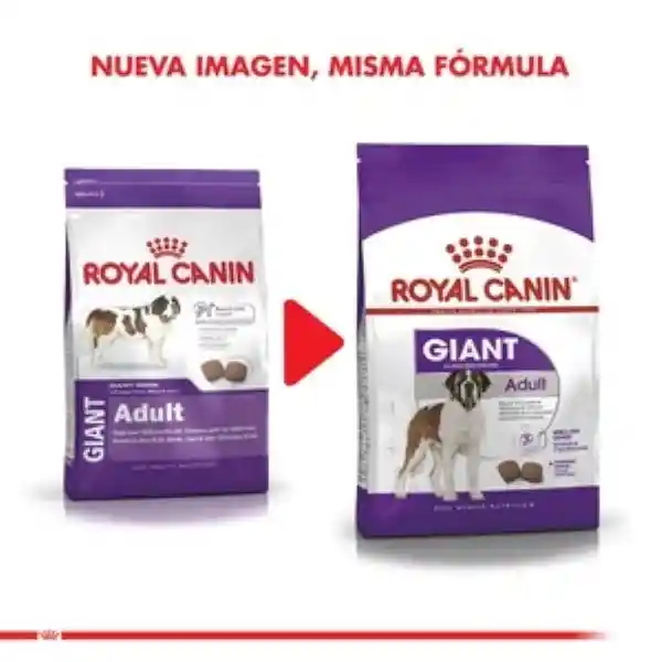 Royal Canin Alimento Seco Para Perro Adulto Raza Gigante