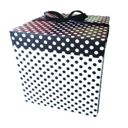 Caja de Regalo de Lunares 21 cm