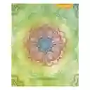 Proarte Cuaderno Universitario Mandalas 100 Hojas C7Mm