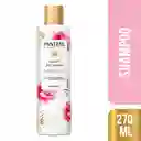 Pantene Shampoo Frizz Control Rose