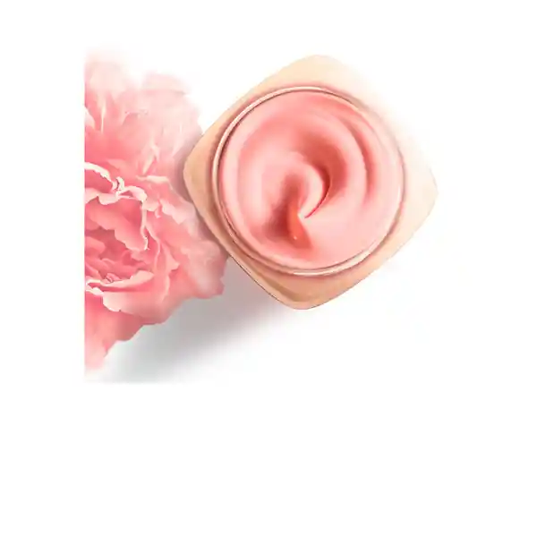 LOréal Crema Age Perfect Golden Age Dia