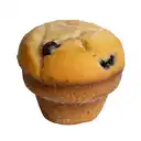 Muffin Arandano
