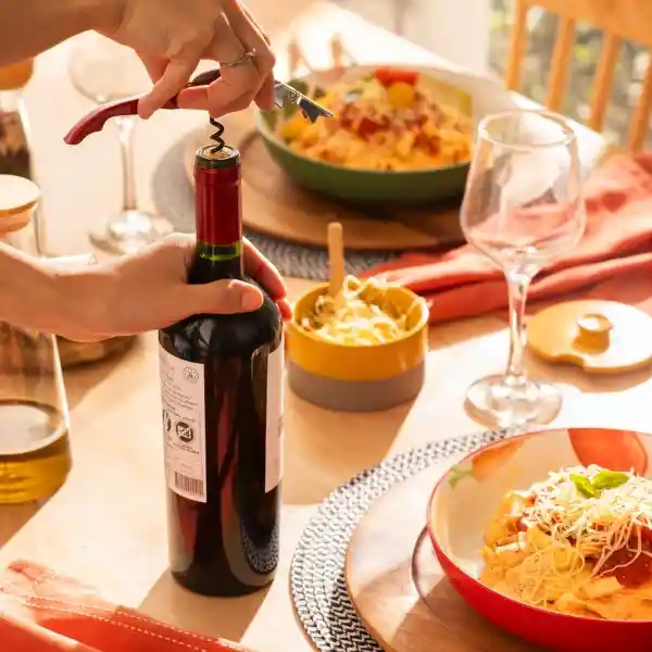 Destapador de Metal Casaideas