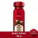 Old Spice Desodorante Corporal Leña en Spray