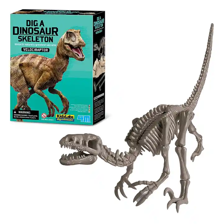 Dinosaurio Velociraptor Excava