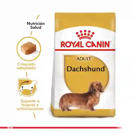 Royal Canin Alimento Para Perro Seco Adulto Dachshu