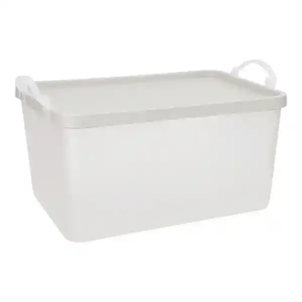 Caja Plástica Con Tapa 12 L