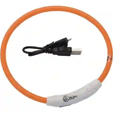 Coastal Collar Para Perro de Luz Grande