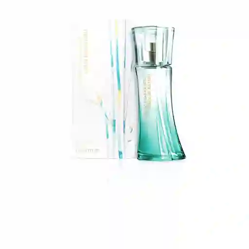 Adolfo Dominguez Perfume Bambu Aqua Wm