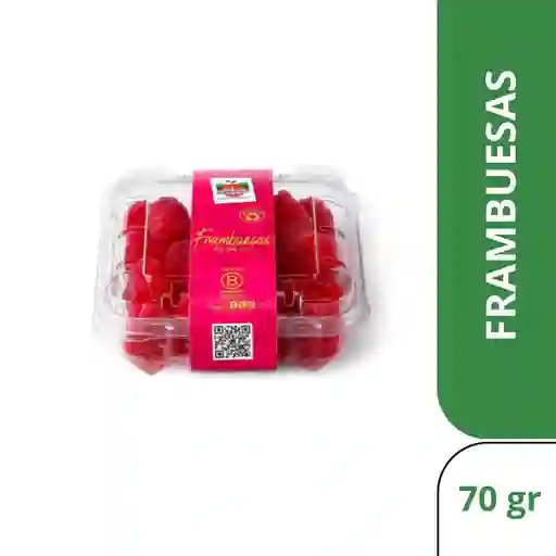 Hortifrut Frambuesas