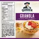 Quaker Granola Miel Pasas 32 g