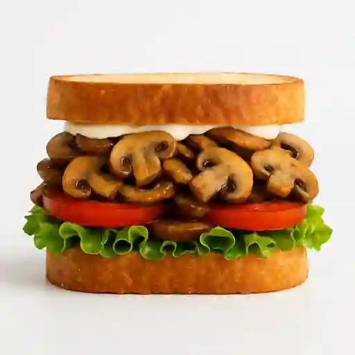 Champiñon Campestre