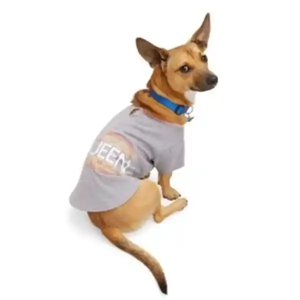 Youly Polera Nap Queen Para Perro X-Chico