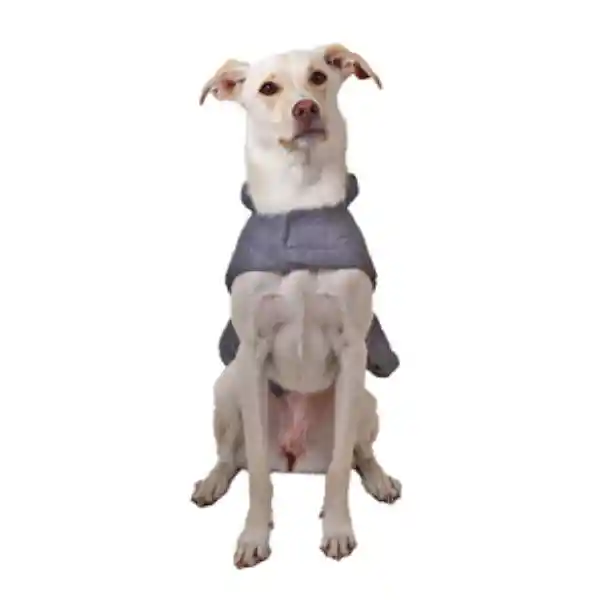 Latipaw Plus Sizes Chaqueta Tipo Puffer  Gris XX-Grande