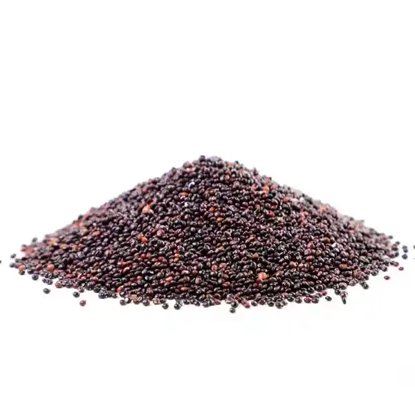 Semilla de Quinoa Negra