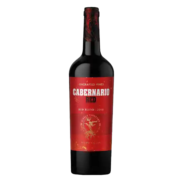 Cabernarioy Vino Tinto Red Blend 750 cc