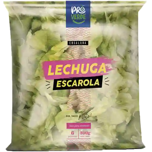 Pro verde Ensalada de Lechuga Escarola
