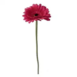 Krea Gerbera 50 cm