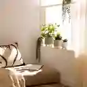 Maceta Redonda Con Cactus Decorativo Blanco