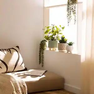 Maceta Redonda Con Cactus Decorativo Blanco