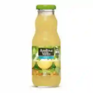 Nectar Andina Piña 300 ml